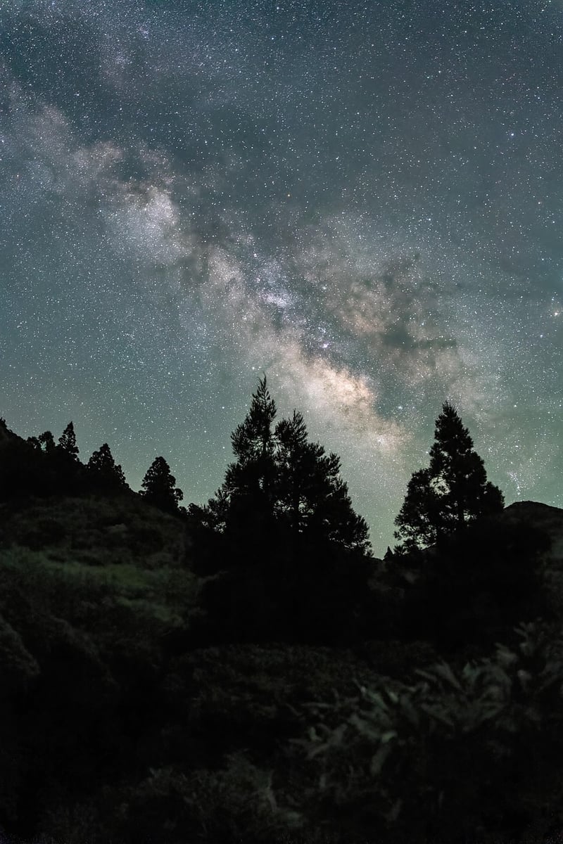 Galactic Wedding Image